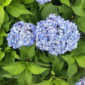 Meet your Posher, Rickie